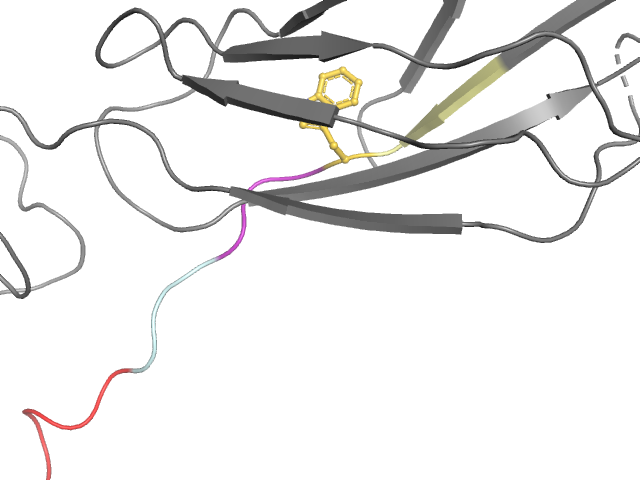 The orthosteric binding pocket