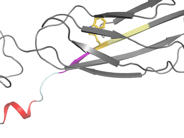 The orthosteric binding pocket