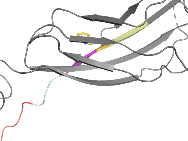 The orthosteric binding pocket