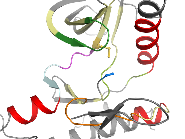 The orthosteric binding pocket
