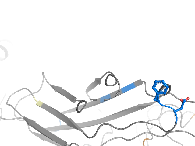 The orthosteric binding pocket