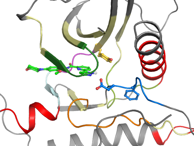 The orthosteric binding pocket