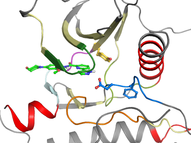 The orthosteric binding pocket