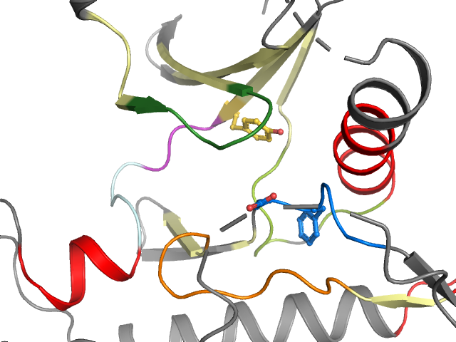 The orthosteric binding pocket
