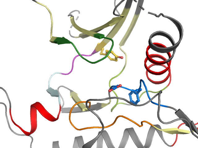 The orthosteric binding pocket
