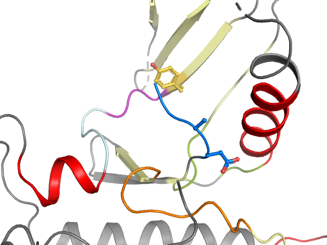 The orthosteric binding pocket