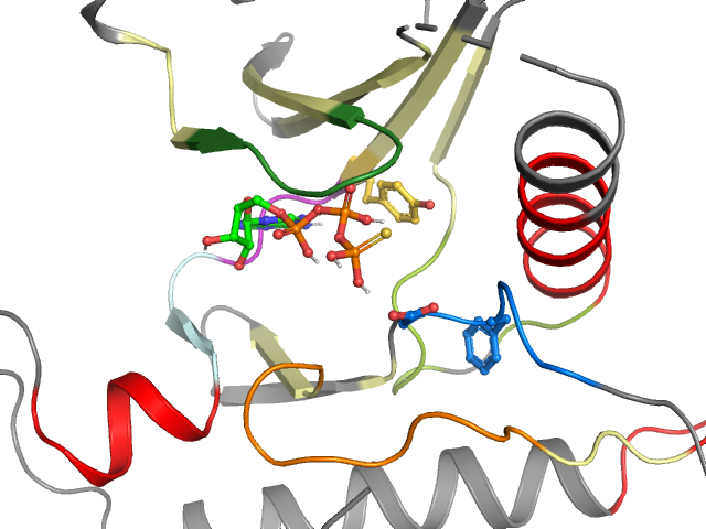 The orthosteric binding pocket