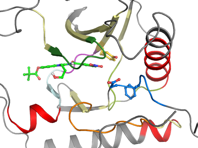 The orthosteric binding pocket