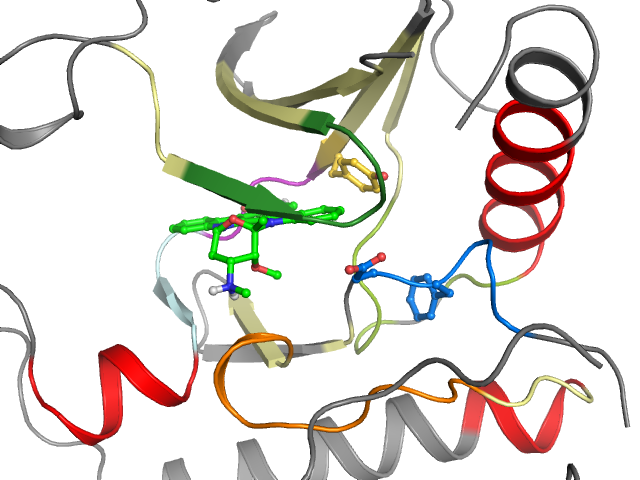 The orthosteric binding pocket