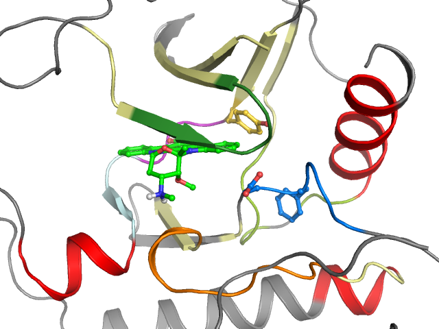 The orthosteric binding pocket