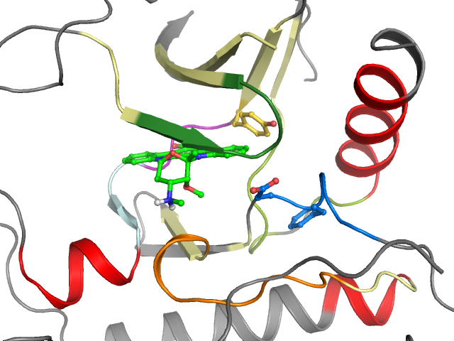 The orthosteric binding pocket