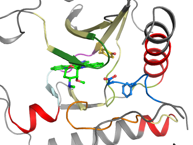 The orthosteric binding pocket