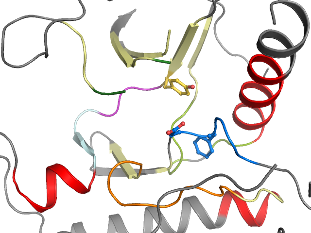 The orthosteric binding pocket