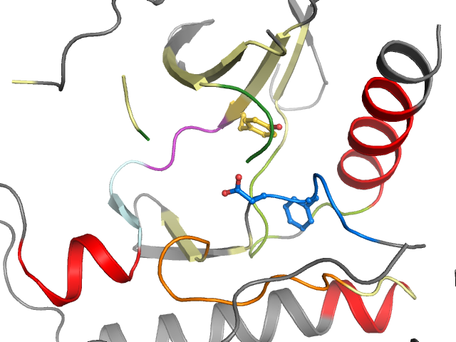 The orthosteric binding pocket