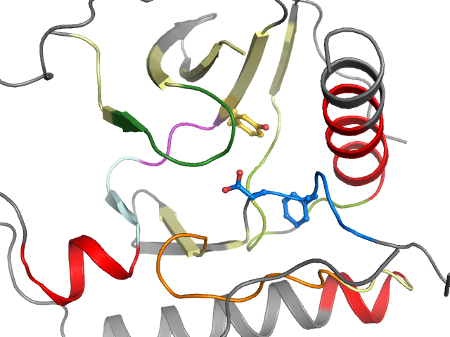 The orthosteric binding pocket