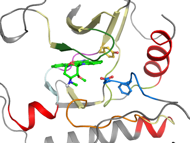 The orthosteric binding pocket