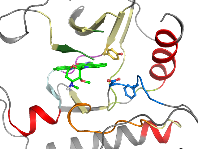 The orthosteric binding pocket