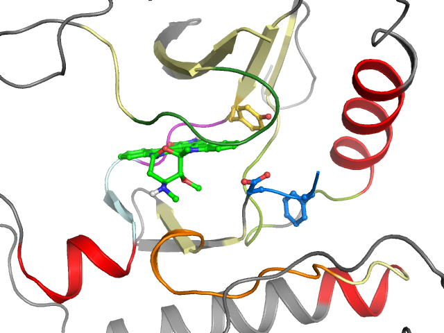 The orthosteric binding pocket