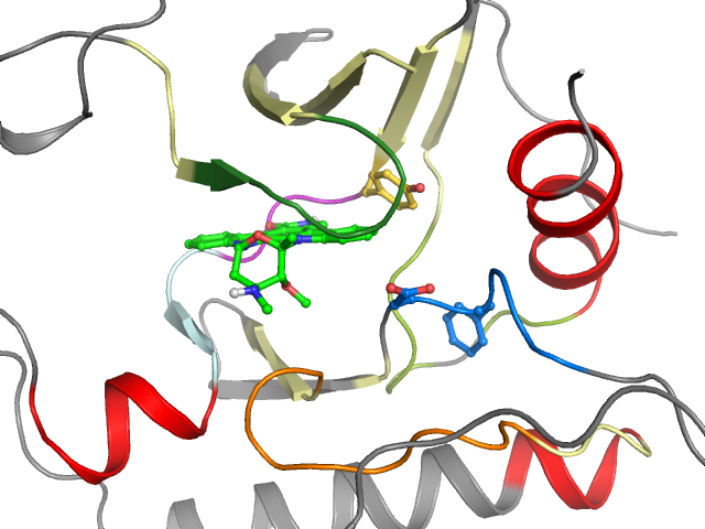 The orthosteric binding pocket