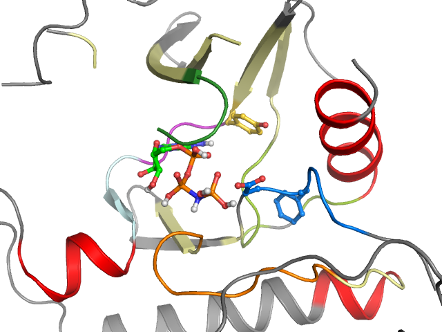 The orthosteric binding pocket