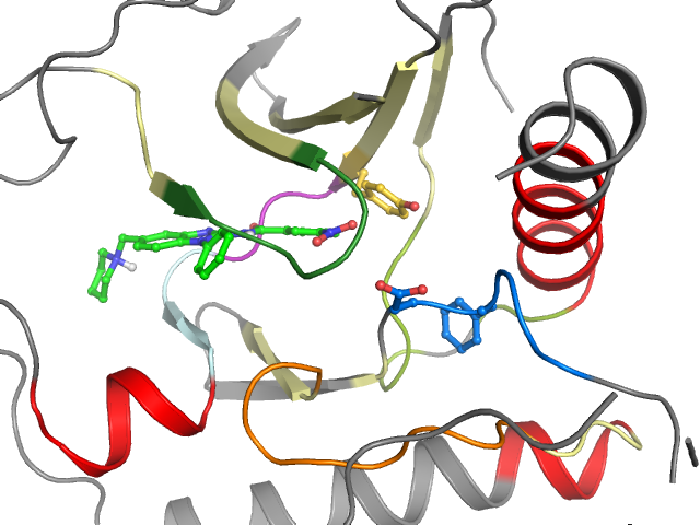 The orthosteric binding pocket