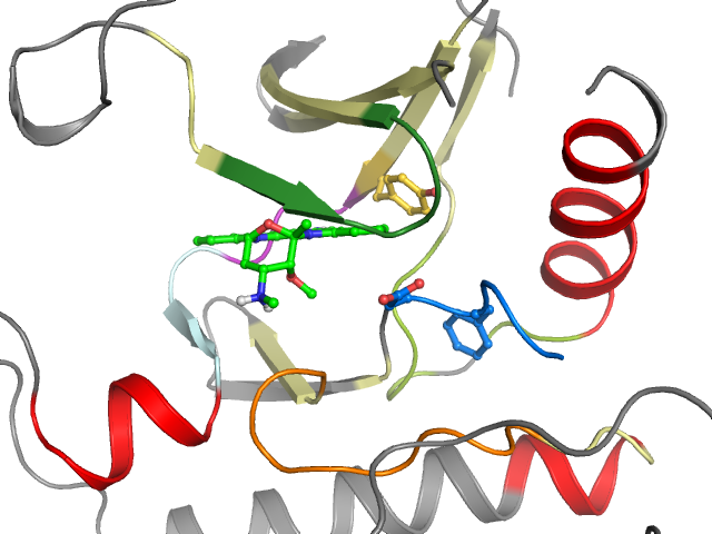The orthosteric binding pocket