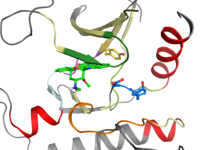 The orthosteric binding pocket