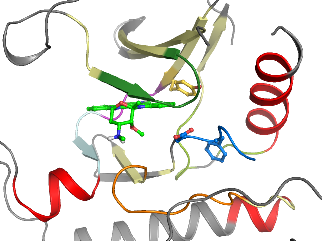 The orthosteric binding pocket