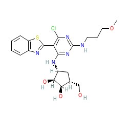 2D structure of the orthosteric ligand
