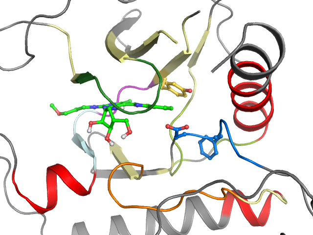 The orthosteric binding pocket