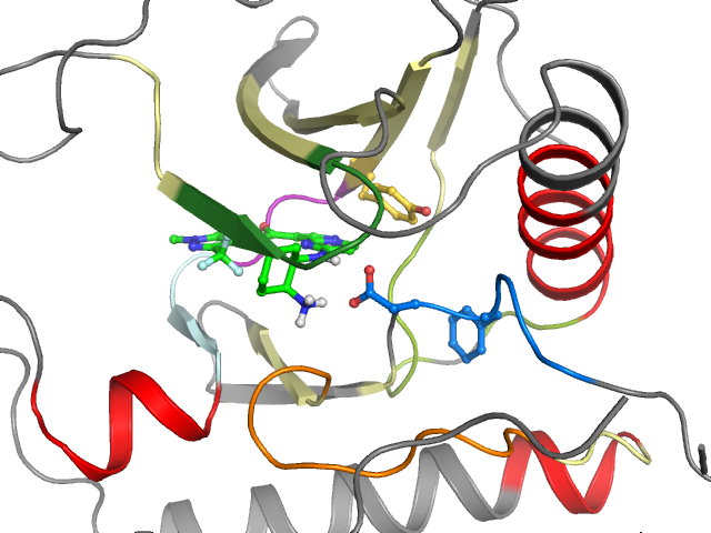 The orthosteric binding pocket