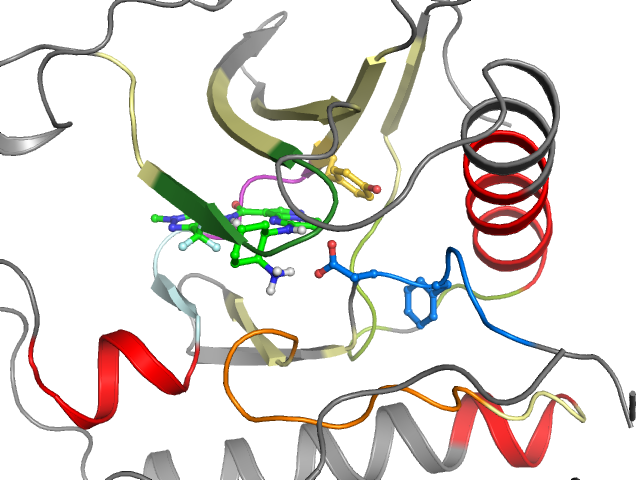 The orthosteric binding pocket