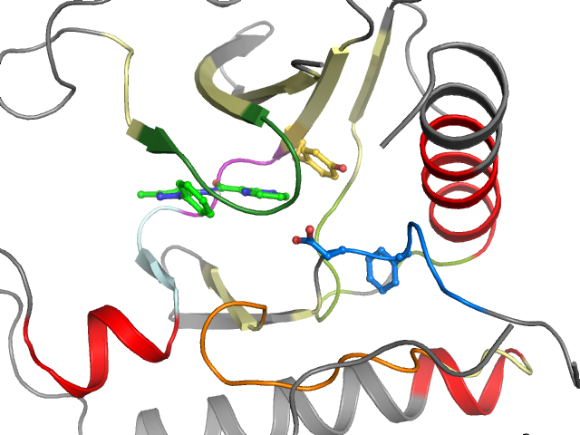 The orthosteric binding pocket