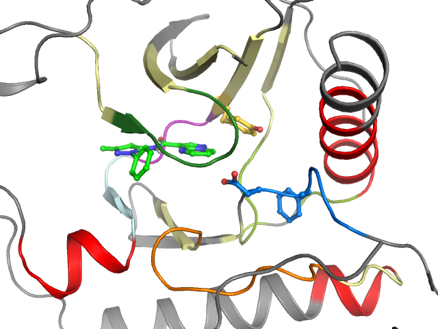 The orthosteric binding pocket