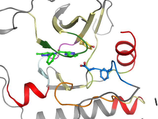 The orthosteric binding pocket