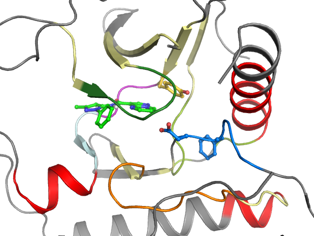 The orthosteric binding pocket