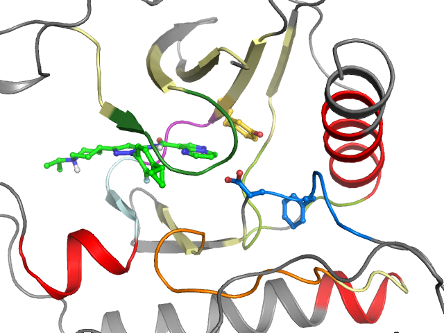 The orthosteric binding pocket