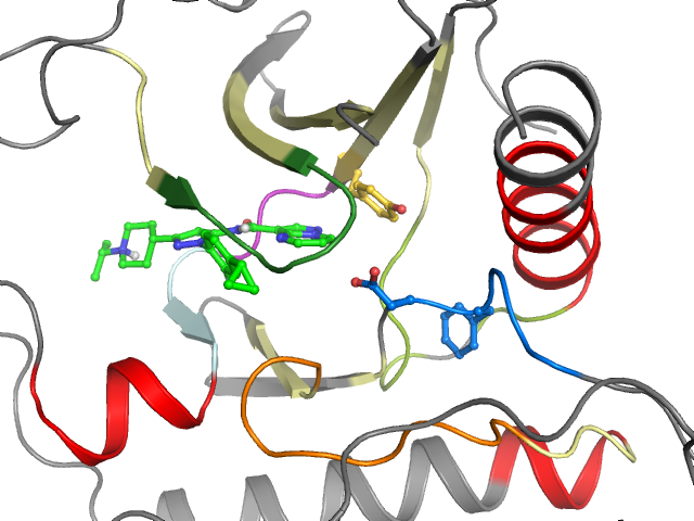The orthosteric binding pocket