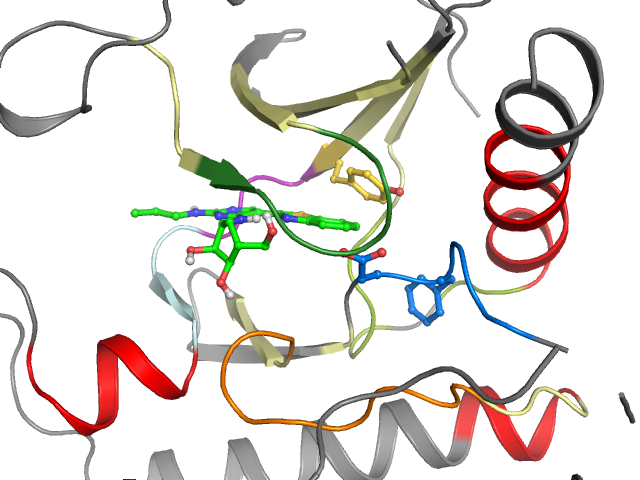 The orthosteric binding pocket