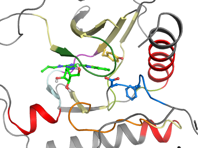 The orthosteric binding pocket