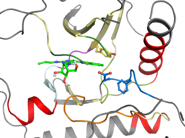 The orthosteric binding pocket