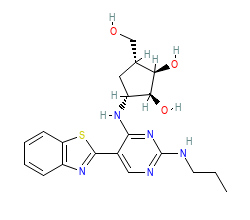 2D structure of the orthosteric ligand
