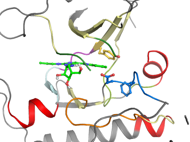 The orthosteric binding pocket