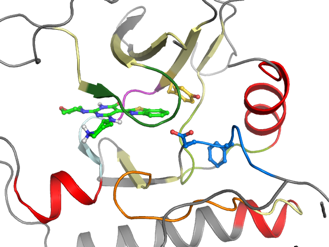 The orthosteric binding pocket