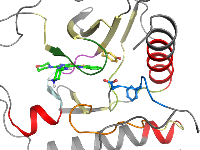 The orthosteric binding pocket