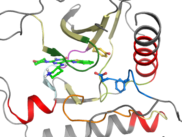 The orthosteric binding pocket