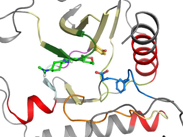 The orthosteric binding pocket