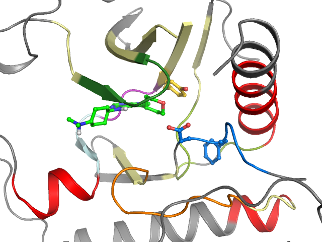 The orthosteric binding pocket