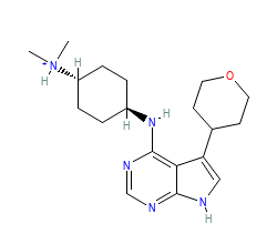 2D structure of the orthosteric ligand