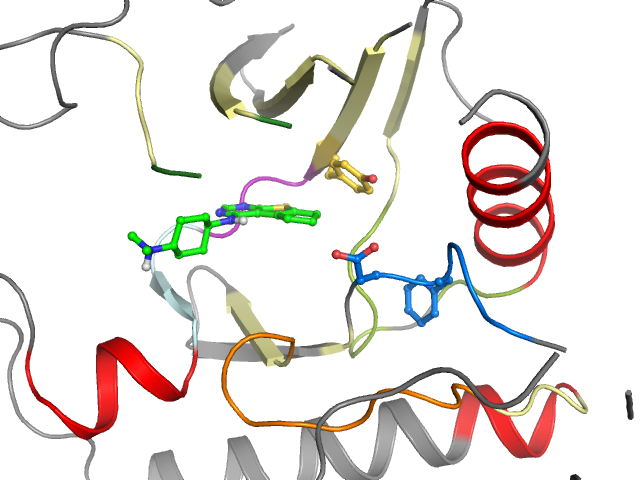 The orthosteric binding pocket